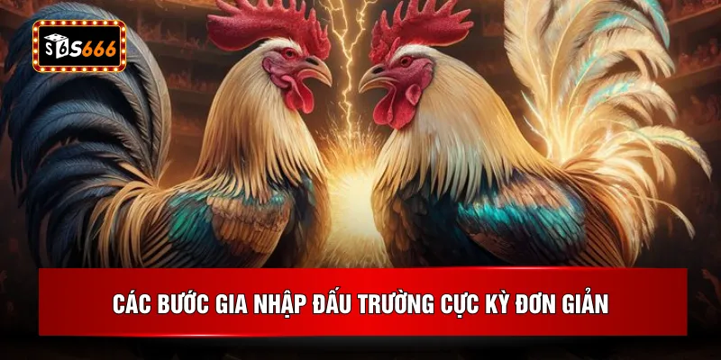 Các bước gia nhập đấu trường cực kỳ đơn giản