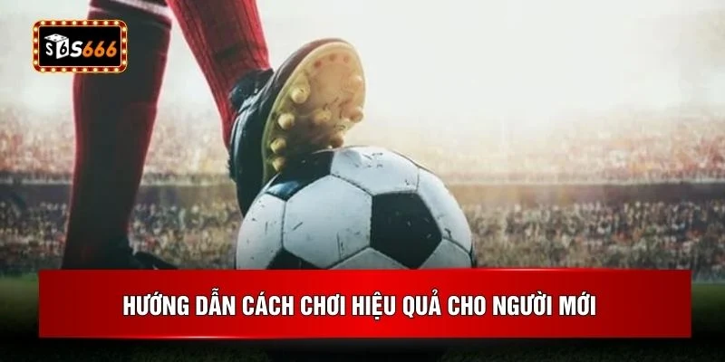 Hướng dẫn cách chơi hiệu quả cho người mới
